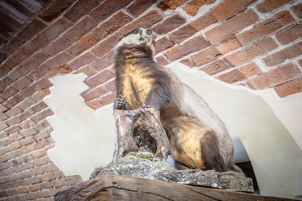 Bed and Breakfast Lo Teisson Pollein Zewnętrze zdjęcie